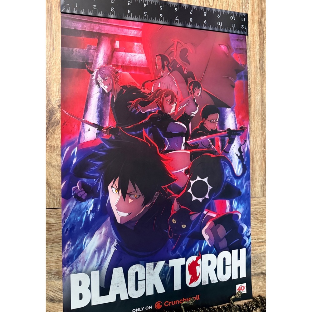 Black Torch Anime Poster Double Sided Crunchyroll SDCC 26 Promo Tsuyoshi Takaki